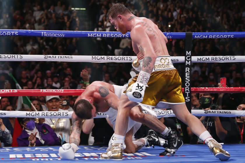 Canelo Alvarez, of Mexico, knocks down Caleb Plant to win a super middleweight title unification fight by TKO, Saturday, Nov. 6, 2021, in Las Vegas. (AP Photo/Steve Marcus)