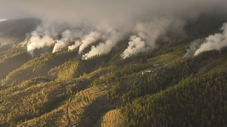 Smoke billowing from mountain of a raging wildfire in Tijarafe, on the Canary Island of La Palma, Spain July 16, 2023. - EIRIF Handout/Reuters