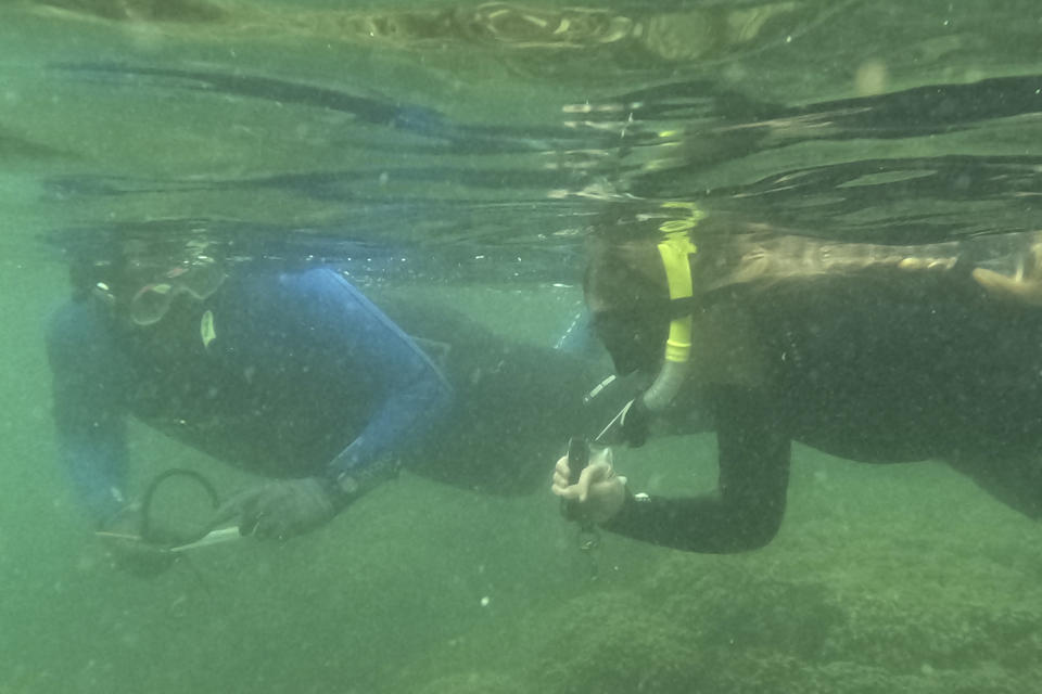 In this photo provided by the Hawaii Dept. of Land and Natural Resources, the Division of Aquatic Resources and federal partners conduct coral assessment and begin mapping the impact zone of the U.S. Navy jet that ended up in Kaneohe Bay, Hawaii on Sunday, Dec. 3, 2023. The jet has been moved from a coral reef in an environmentally sensitive Hawaii bay where it got stuck after overshooting a runway nearly two weeks ago, officials said Monday, Dec. 4, 2023. (Hawaii Dept. of Land and Natural Resources via AP)