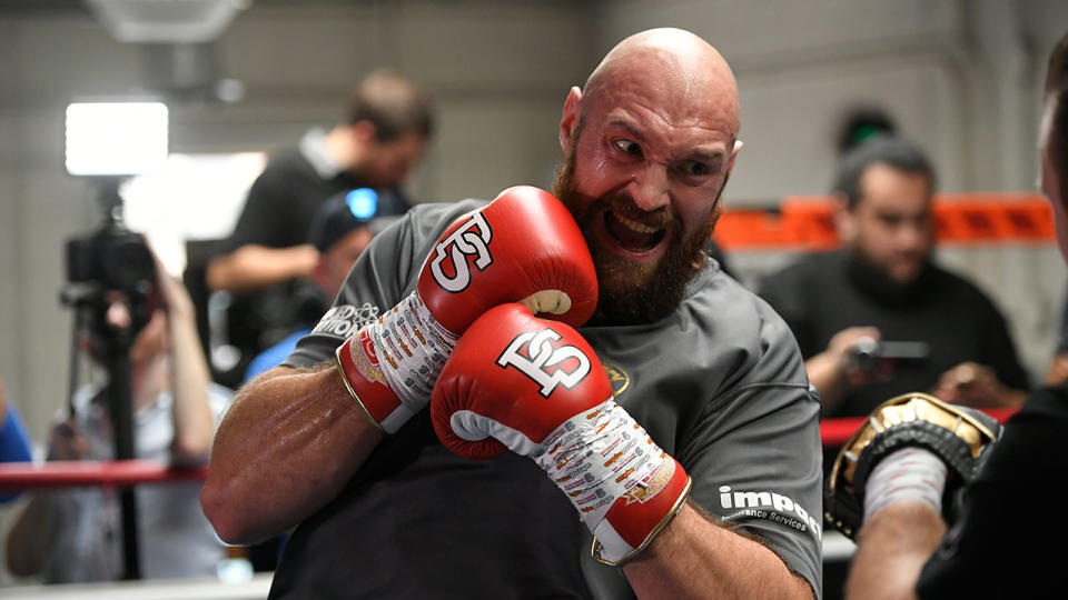 Fury is hoping to be the first man to defeat Wilder. Pic: Getty