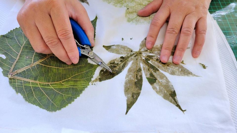 園區植物手作移染。   田中窯創藝園區/提供