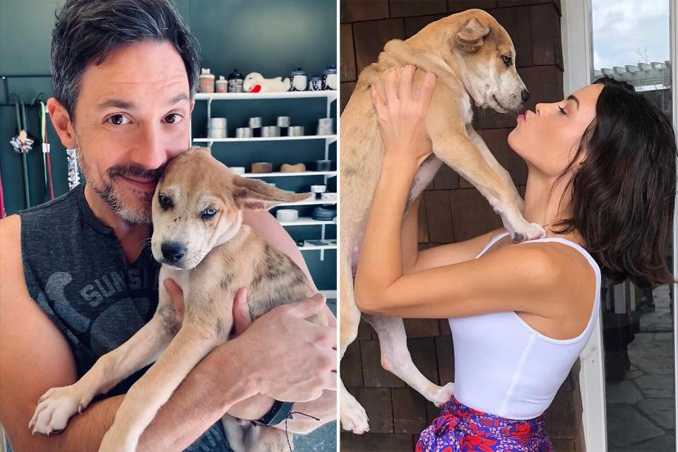 Sept. 24, 2019: They Celebrate The 1-Year Anniversary of Adopting Their Puppy, Cosmo