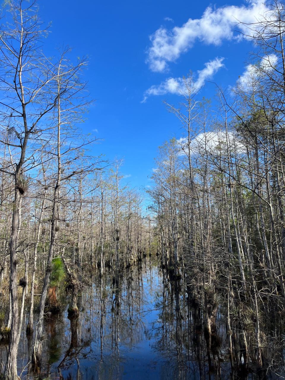 A FWC virtual scavenger hunt leads players to visit Florida’s Wildlife Management Areas.