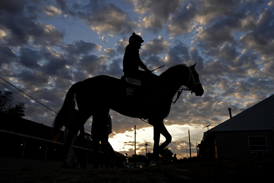 A horse heads back to a barn after an early-morning workout at Churchill Downs Wednesday, May 1, 2024, in Louisville, Ky. The 150th running of the Kentucky Derby is scheduled for Saturday, May 4. (AP Photo/Charlie Riedel)