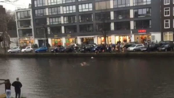 After the rescue, the group swim back to land. Photo: RTL Nieuws