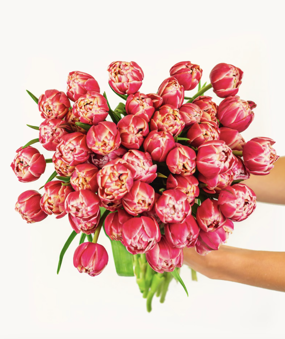 <p><a href="https://go.redirectingat.com?id=74968X1596630&url=https%3A%2F%2Fwww.bloomsybox.com%2Fp%2Fpink-peony-tulips%3Fcollection_page%3Dmothers-day-collection%26collection_title%3DMother%2527s_Day_Flowers&sref=https%3A%2F%2Fwww.housebeautiful.com%2Fentertaining%2Fholidays-celebrations%2Fg4365%2Fmothers-day-flowers-ideas%2F" rel="nofollow noopener" target="_blank" data-ylk="slk:Shop Now;elm:context_link;itc:0;sec:content-canvas" class="link ">Shop Now</a></p><p>Pink Peony Tulips</p><p>$99.99</p>