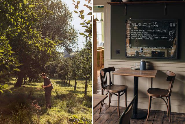 <p>From left: Maureen Evans/Courtesy of Osip; Maureen Evans/Courtesy of The Old Pharmacy</p> From left: Osip restaurant’s chef, Merlin Labron-Johnson, on one of his farms, which sit less than five miles from his kitchen; The Old Pharmacy, a wine bar, bistro, and grocery shop, in Bruton.