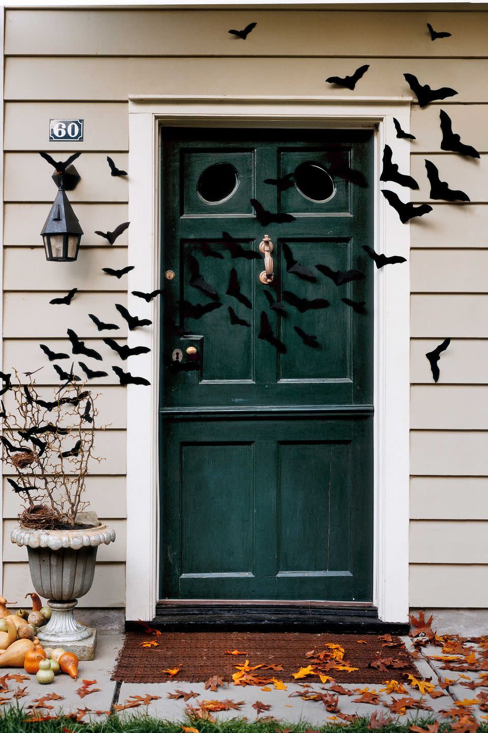 Bat-Filled Front Door