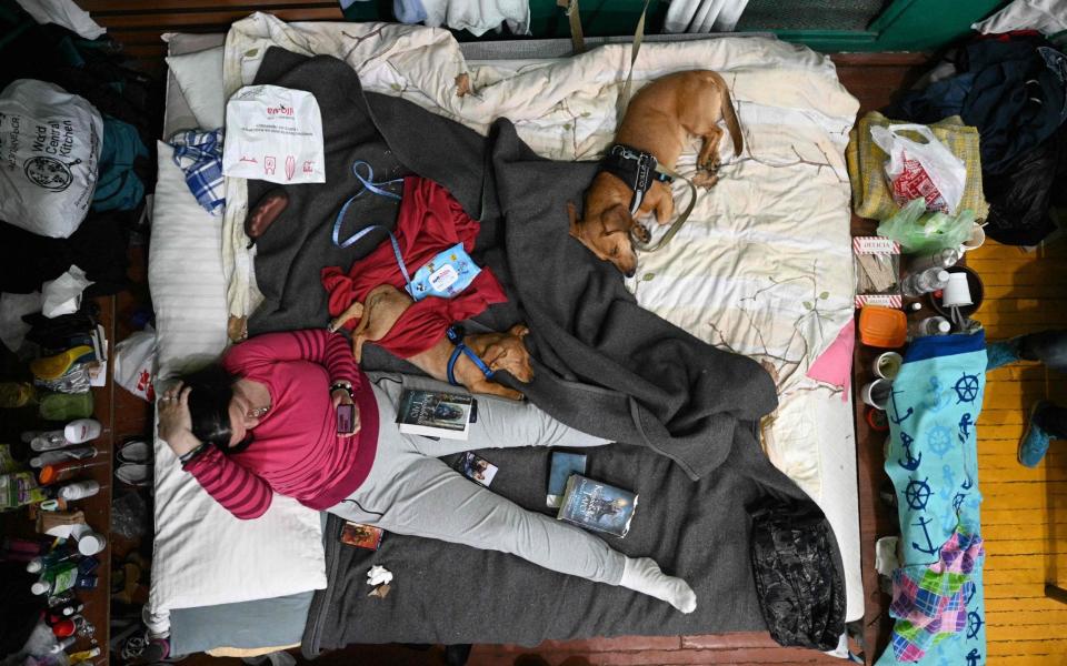 A woman looks her phone on her bed in a shelter for evacuees from a Ukraine's war-torn region, in Lviv - YURIY DYACHYSHYN/AFP