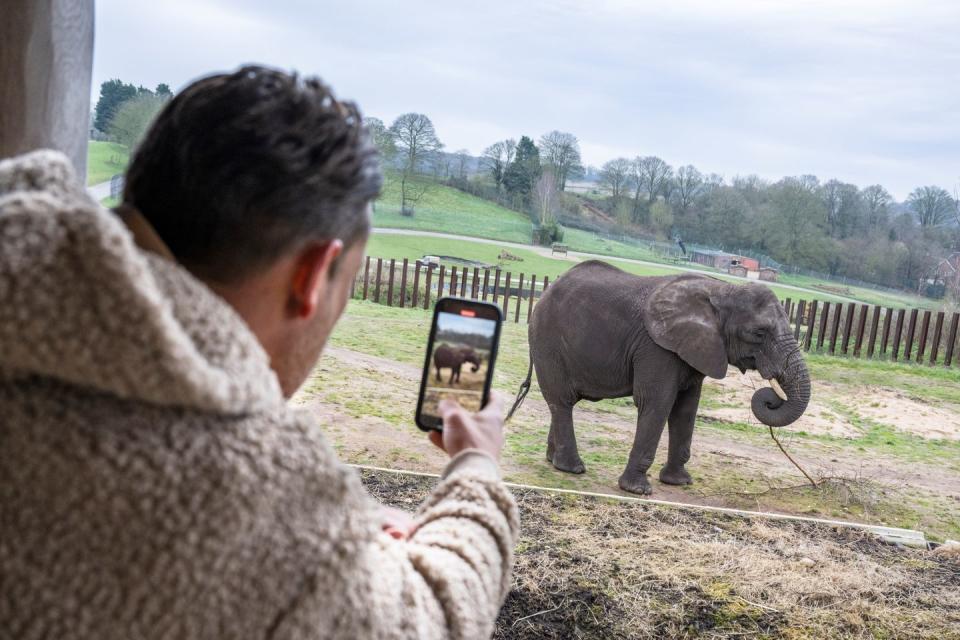 a man taking a picture of an elephant