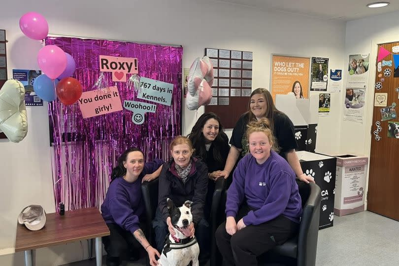 SSPCA wishing Roxy farewell