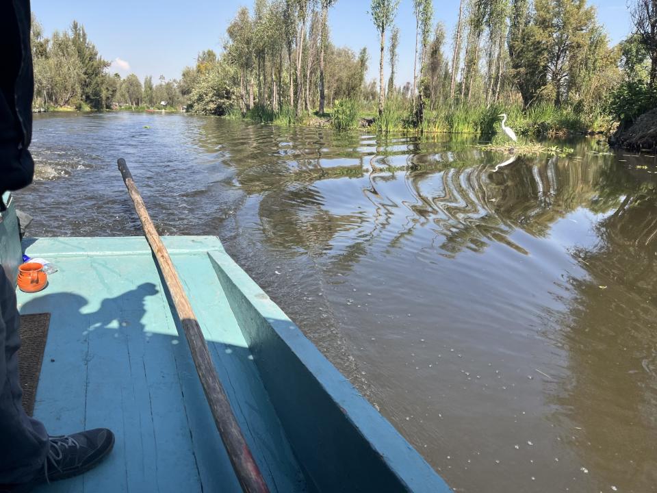 Chinampa Xochimilco