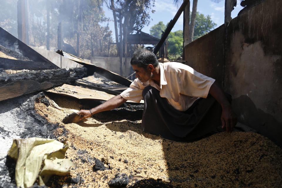 A man salvages rice grains from the remains of a warehouse of a mosque that was burnt down in Thapyuchai village