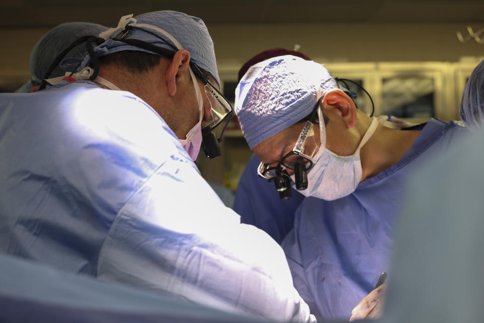 Massachusetts General Hospital transplant surgeons Dr. Nahel Elias, left, and Dr. Tatsuo Kawai perform the surgery of a transplanted genetically modified pig kidney into a living human, Saturday, March 16, 2024, in Boston, Mass.(Massachusetts General Hospital via AP)