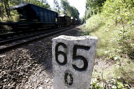 A train travels in an area where a Nazi train is believed to be, in Walbrzych, southwestern Poland August 30, 2015. REUTERS/Kacper Pempel