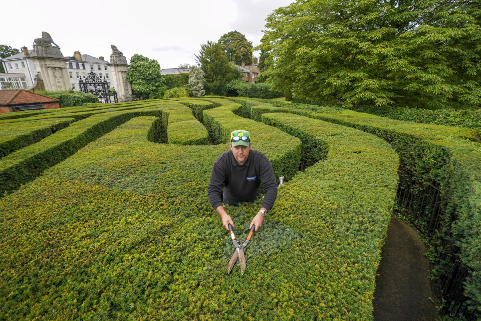<p>Hampton Court Palace gardener Anthony Bubb undertakes a final trim of the palace's maze in Surrey, before it reopens to visitors for the first time since March 2020. Picture date: Friday July 30, 2021.</p>

