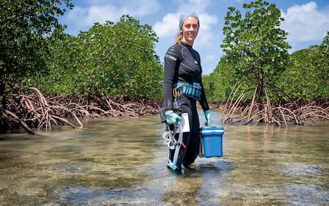 Studying resilience in coral at a mangrove off Port Douglas - Credit: Franck Gazzola/©Rolex