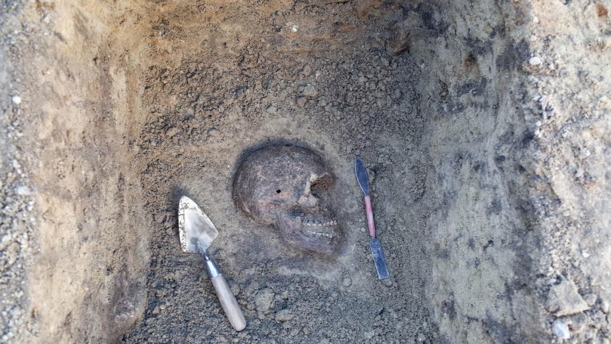 archaeological excavation with skeletons