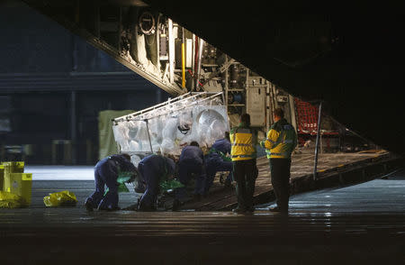An Ebola patient is put on a Hercules transport plane at Glasgow Airport in Scotland December 30, 2014, to be transported to London. REUTERS/Stringer/Files