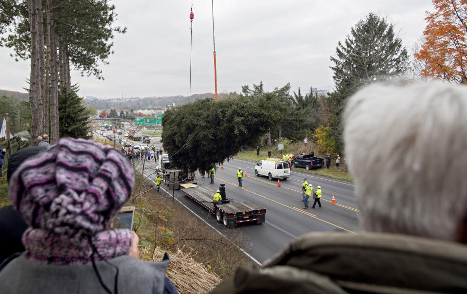 Community members watch as the 75-foot Norway spruce&nbsp;is loaded onto a truck to be taken to Rockefeller Center in New York City on Thursday, Nov. 9.