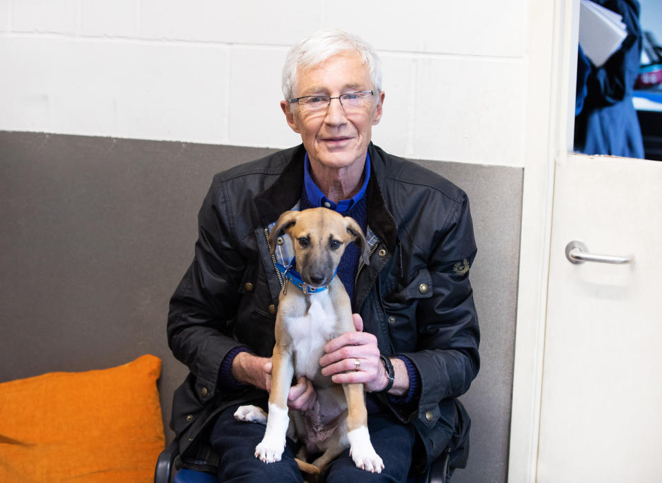 From MultiStory Media

PAUL OGRADY FOR THE LOVE OF DOGS
Thursday 7th September 2023 on ITV1

Pictured: Paul Oâ€™Grady with a 4 month old lurcher pup called Tara

Paul and the team are left baffled by a mystery illness which is making a young lurcher pup desperately ill. He also meets a gorgeous Staffie who is too scared to leave her kennel. Paul uses every trick up his sleeve to try and coax her out into the big wide world. And he meets a tiny old Yorkie, with awful breath, who needs a bit of a makeover.

(C)  Battersea Cats and Dogs Home

For further information please contact Peter Gray
Mob 07831460662 /  peter.gray@itv.com

This photograph is (C) *** and can only be reproduced for editorial purposes directly in connection with the programme or event mentioned herein.

Once made available by ITV plc Picture Desk, this photograph can be reproduced once only up until the transmission [TX] date and no reproduction fee will be charged.

Any subsequent usage may incur a fee.

This photograph must not be manipulated [excluding basic cropping] in a manner which alters the visual appearance of the person photographed deemed detrimental or inappropriate by ITV plc Picture Desk.

This photograph must not be syndicated to any other company, publication or website, or permanently archived, without the express written permission of ITV Picture Desk.

Full Terms and conditions are available on the website www.itv.com/presscentre/itvpictures/terms
