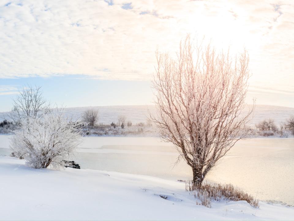 Beautiful winter morning on a small lake in Kentucky.