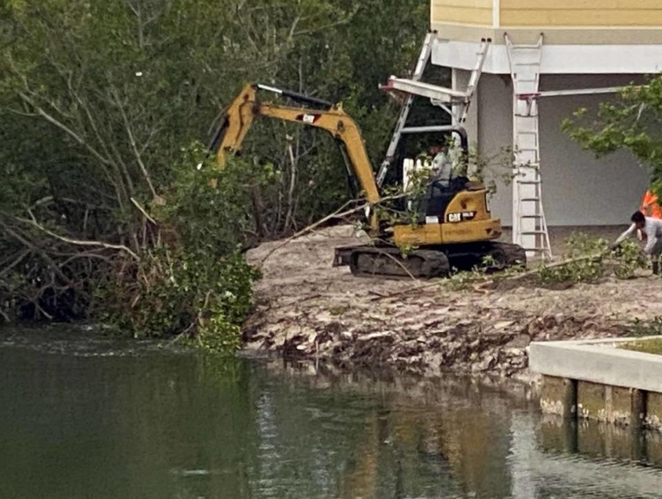 Images sent from the City of Anna Maria to the Florida Department of Environmental Protection show the extent of a mangrove removal that is under investigation by the state.