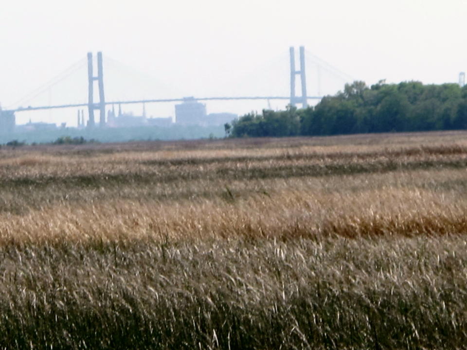 In this March, 29, 2012 photo, the Savannah National Wildlife Refuge reaches toward the Talmadge Bridge crossing the Savannah River on the South Carolina-Georgia state line outside Hardeeville, S.C. Conservation groups have sued saying dredging the river to accommodate larger ships at Georgia's ports requires a South Carolina pollution permit because toxic chemicals in silt will be dumped on the South Carolina side. The U.S. Army Corps of Engineers asked a judge this week to toss out the lawsuit. (AP Photo/Bruce Smith).