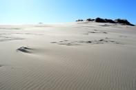 Le dune di sabbia di Råbjerg Mile, chiamato anche “il deserto danese", si trovano in una posizione alquanto insolita: sulla punta più settentrionale dello Jutland, su una striscia di terra che tende verso la Svezia. Si estendono per circa due chilometri quadrati e raggiungono i 40 metri d’altezza. (Pixabay)