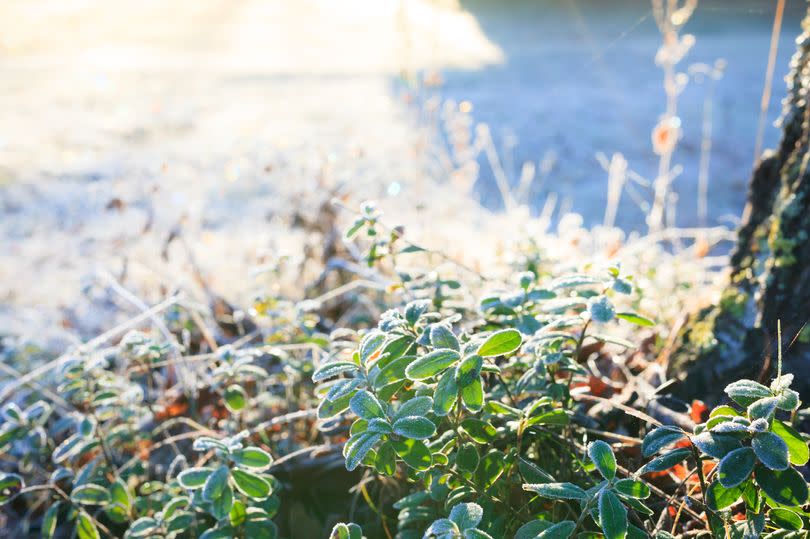 Arctic winds have left a frosty chill in the air - but the Met Office says things will soon heat up -Credit:Shared Content Unit