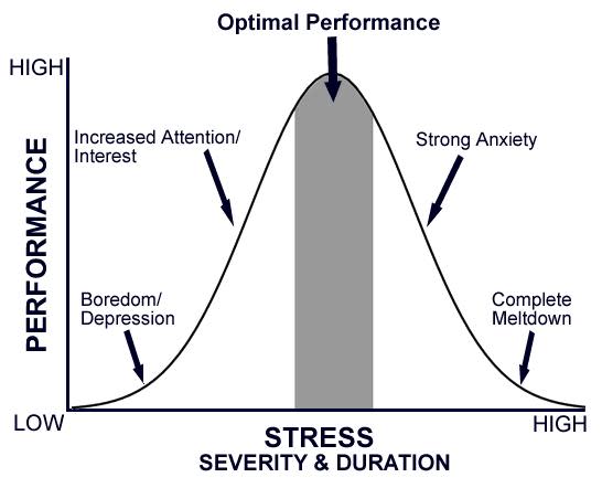 Stepping Out Of Your Comfort Zone? - Elite High Performance