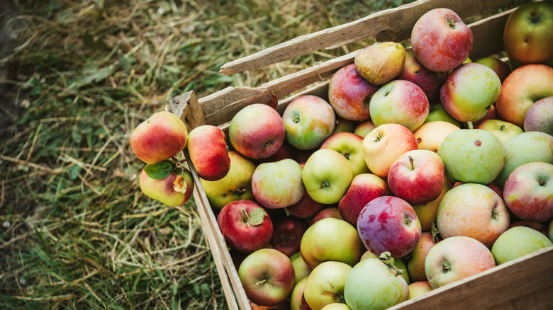 wooden crate of apples