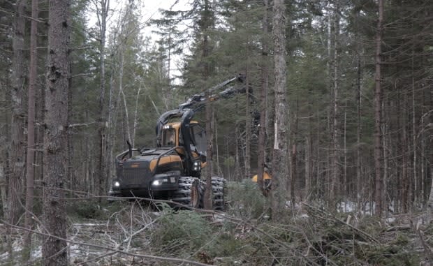 University of King's College president Bill Lahey delivered his indepedent report more than two years ago. Among other things, it called for a reduction in clear cutting and a more ecological approach to forestry.