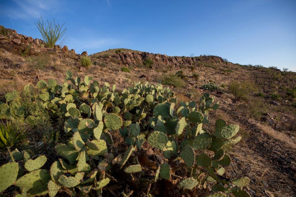 Community groups in El Paso are advocating for Castner Range to be designated as a national monument. 