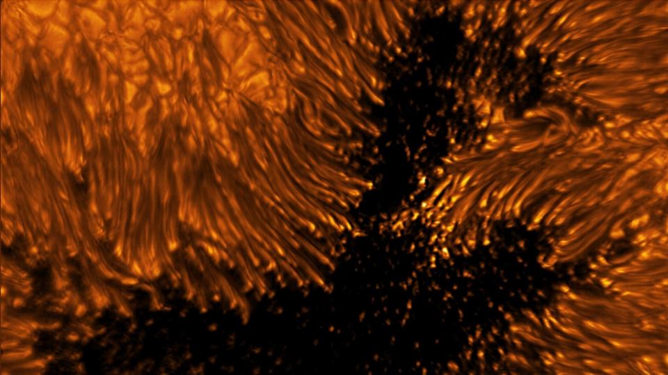 Image showing the fine structure of a sunspot, with many tendrils and filaments.