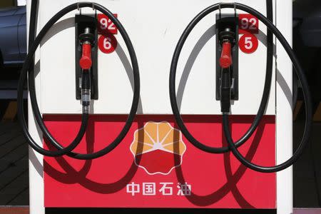 PetroChina's logo is seen at a gas station in Beijing in this August 29, 2013 file photo. REUTERS/Kim Kyung Hoon/Files