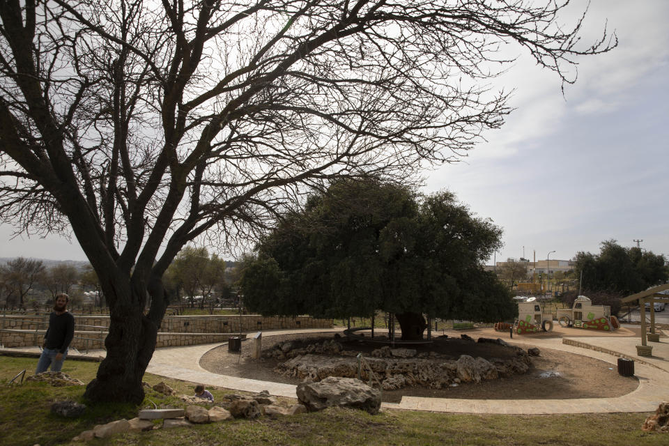 An Israeli Jewish settler walks near a small promenade built by the Jewish National Fund, known by its Hebrew acronym KKL, near the Israeli West Bank settlement of Alon Shvut, Monday, Feb. 22, 2021. The fund acquires land, plants trees and carries out development projects, and is considering formally expanding its activities into the occupied West Bank, deepening the rift between left-leaning Jewish groups in the United States and the increasingly right-wing Israeli government. (AP Photo/Sebastian Scheiner)