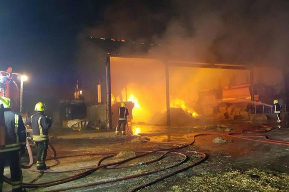 Barn blaze: Fire crews rescued 18 piglets and two sows (Pewsey Fire Station/Facebook)