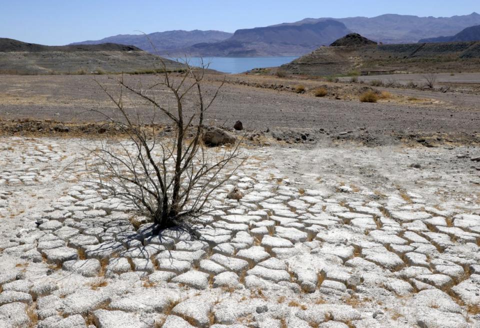 <div class="inline-image__caption"><p>Lake Mead, North America's largest artificial reservoir, this month dropped to its lowest level been since being filled in 1937 after the construction of the Hoover Dam.</p></div> <div class="inline-image__credit">Ethan Miller/Getty</div>