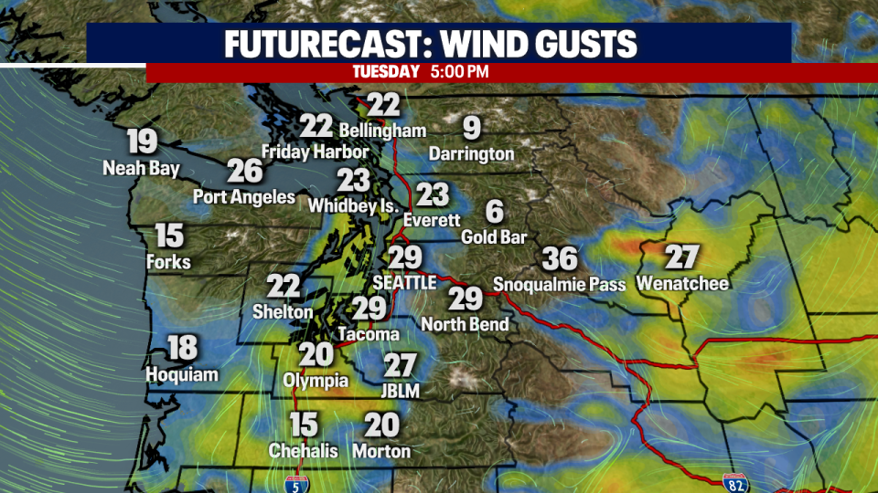 <div>Futurecast Wind Gusts NAM 3km</div> <strong>(FOX 13 Seattle)</strong>