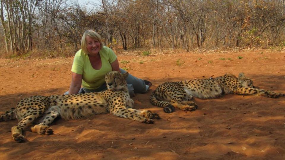Gill with cheetahs in Zambia (Gill Waterton)