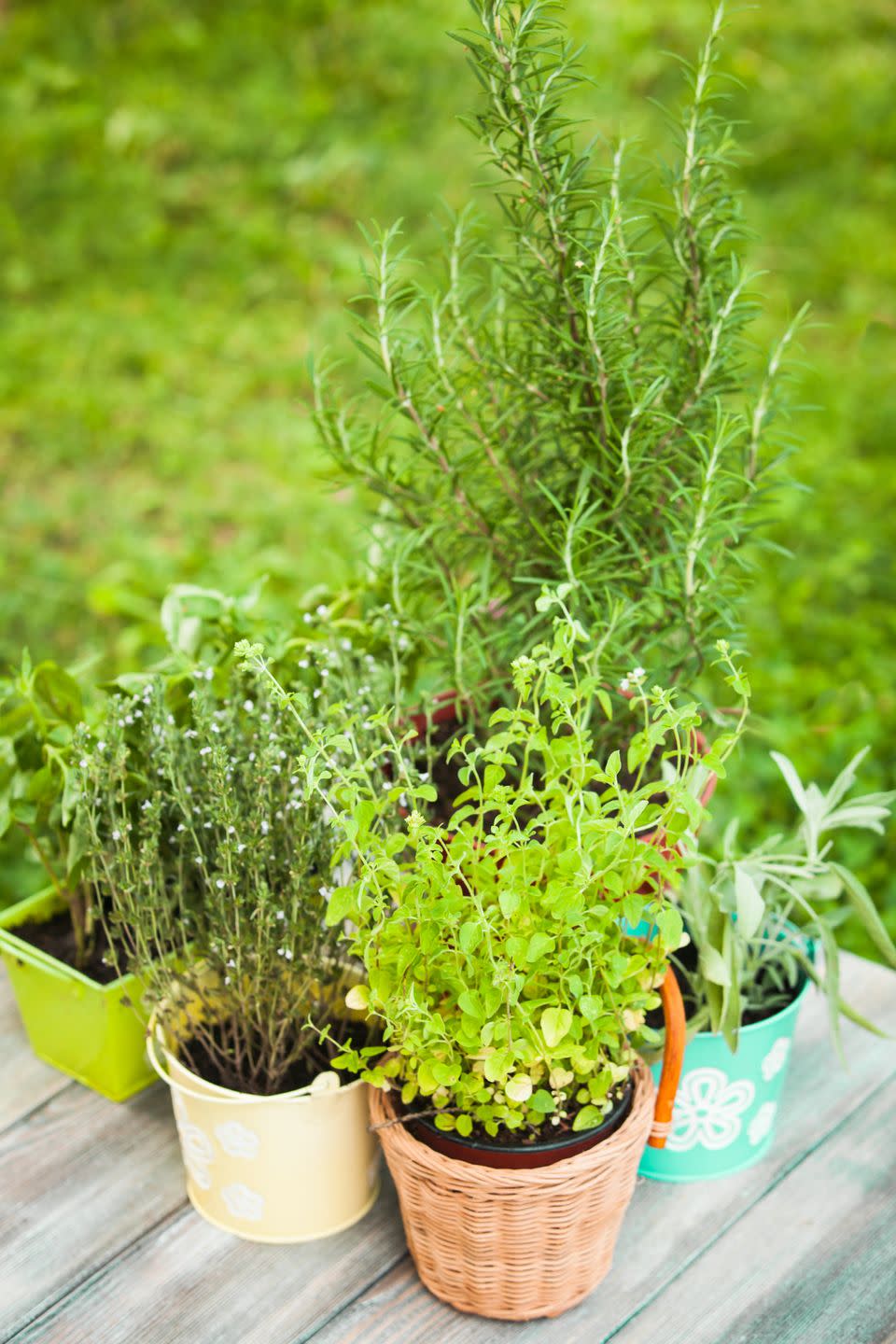 patio decor ideas container garden