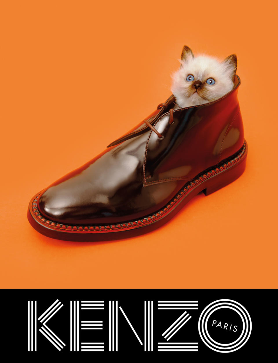 KENZO fall/winter 2013