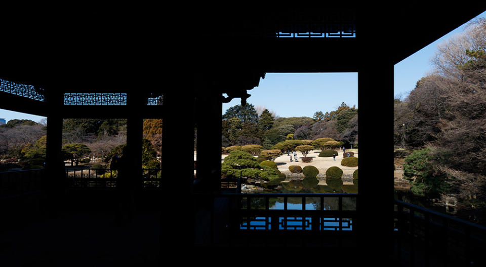 東京新宿御苑（Photo by John Walton/PA Images, Image Source : Getty Editorial）