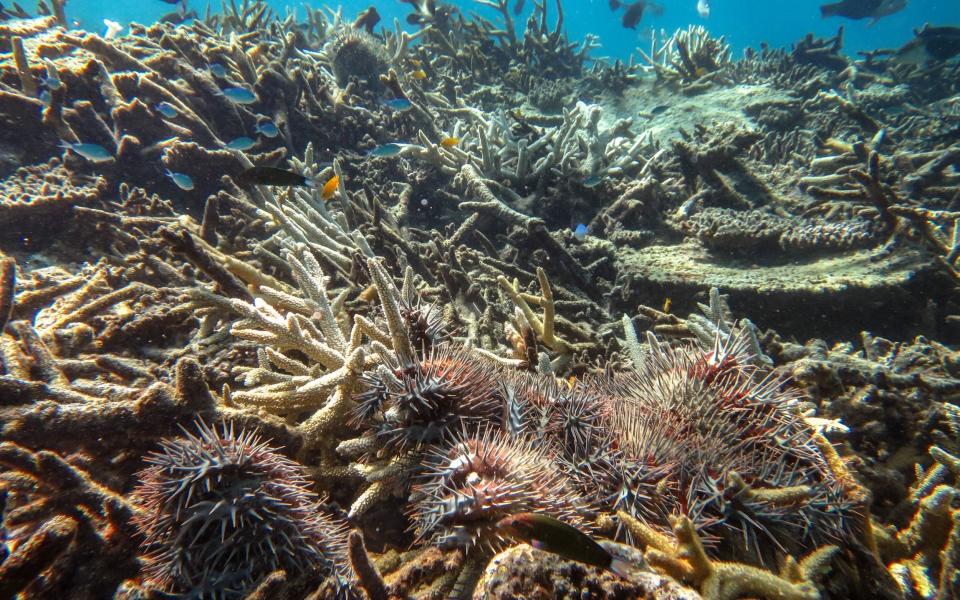 Great Barrier Reef - Australian Institute of Marine Science