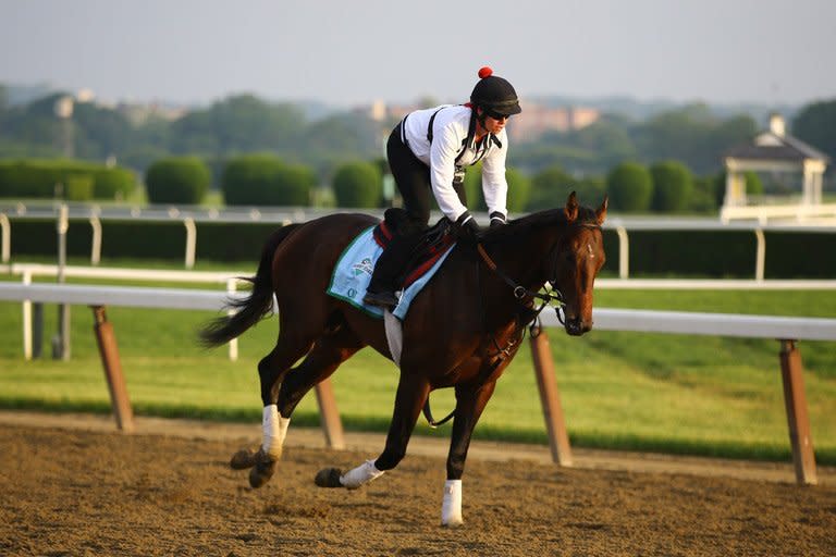 Jennifer Patterson rides Kentucky Derby winner Orb during a training session at Belmont Park in Elmont, New York, on June 6, 2013. With Orb and Preakness champ Oxbow poised for a Belmont Stakes showdown on Saturday, Freedom Child is drawing attention as a potential spoiler in the last of 2013's Triple Crown races