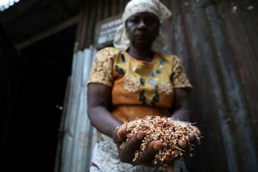 Sorghum, along with millet, provides the ooomph to burukutu