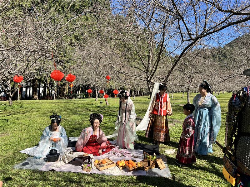 2024九族櫻花祭特色櫻花體驗，包含「櫻花茶會」及「櫻花饗宴」。（圖／九族文化村提供）