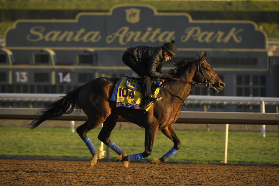 While horse racing has come under fire in recent years due to its increasing death rate, those inside the sport showed their support at the Breeders' Cup. (AP/Mark J. Terrill)