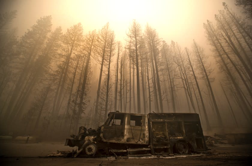 GREENVILLE, CA - AUGUST 07, 2021: Burned trees rise above a truck destroyed by the Dixie Fire in the town of Greenville. (Mel Melcon / Los Angeles Times)